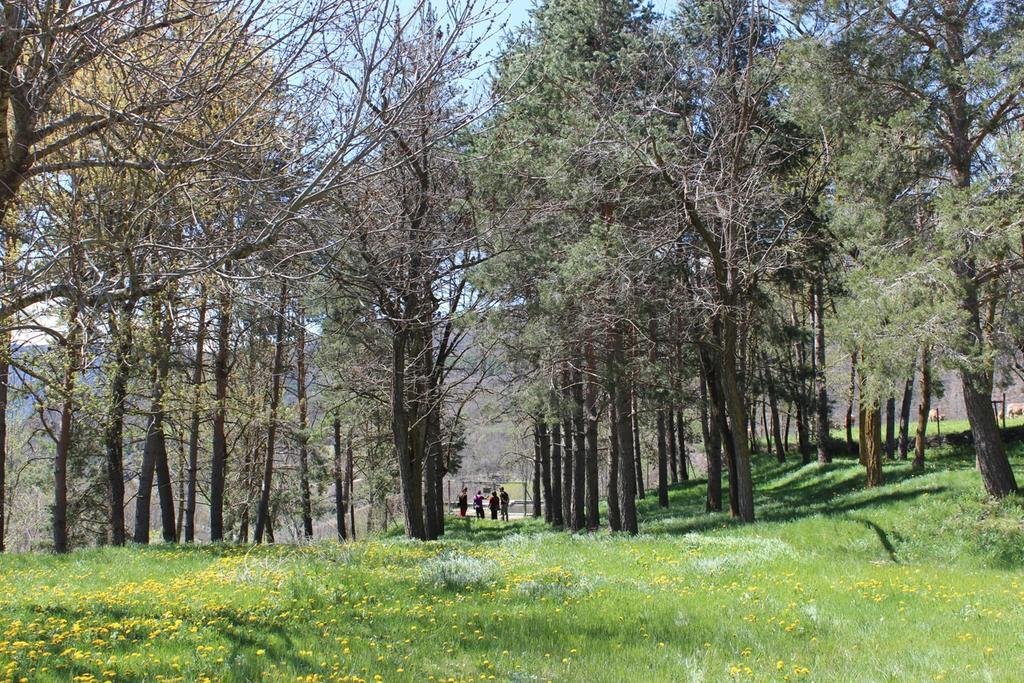 Casa de Colònies Vall de Boí - Verge Blanca Llesp Exterior foto